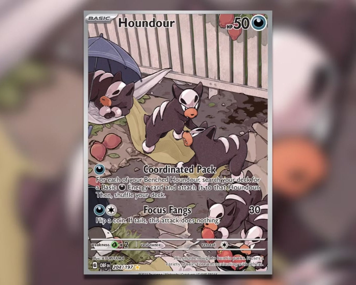 Houndour 204/197